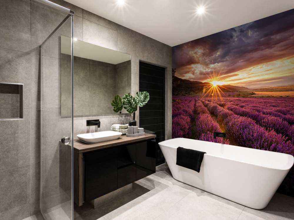 Lawenda pod słońcem