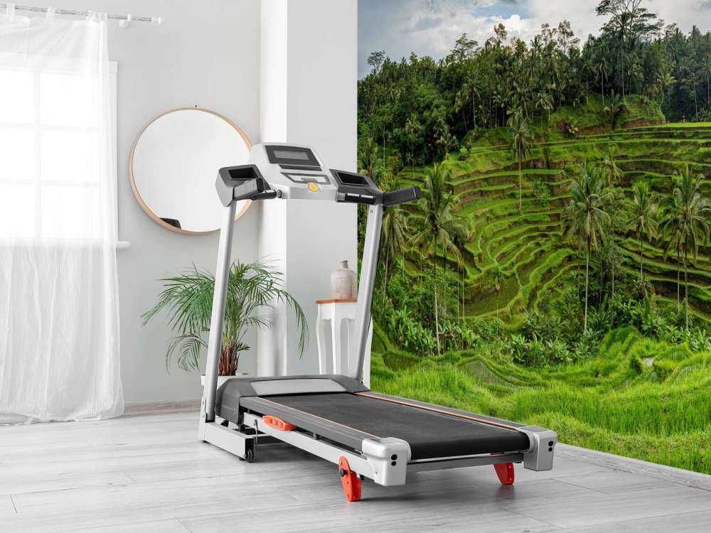 Tajlandzkie pola ryżowe