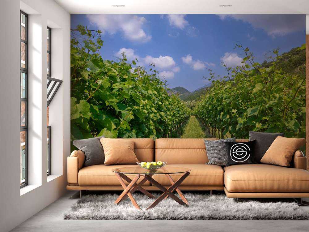 Winnica we Włoszech