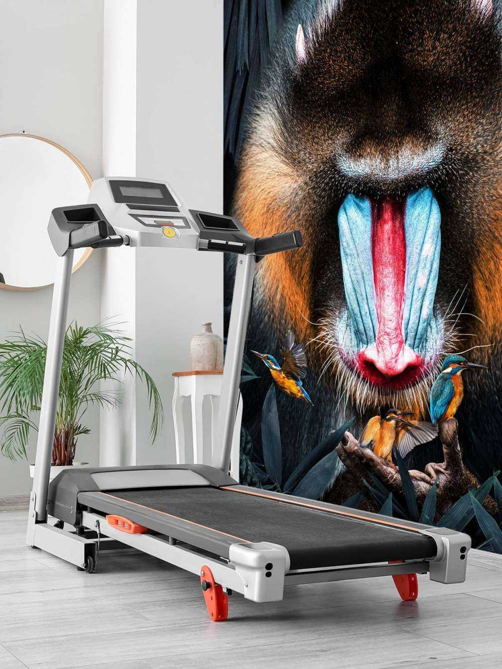 Mandrill Portret
