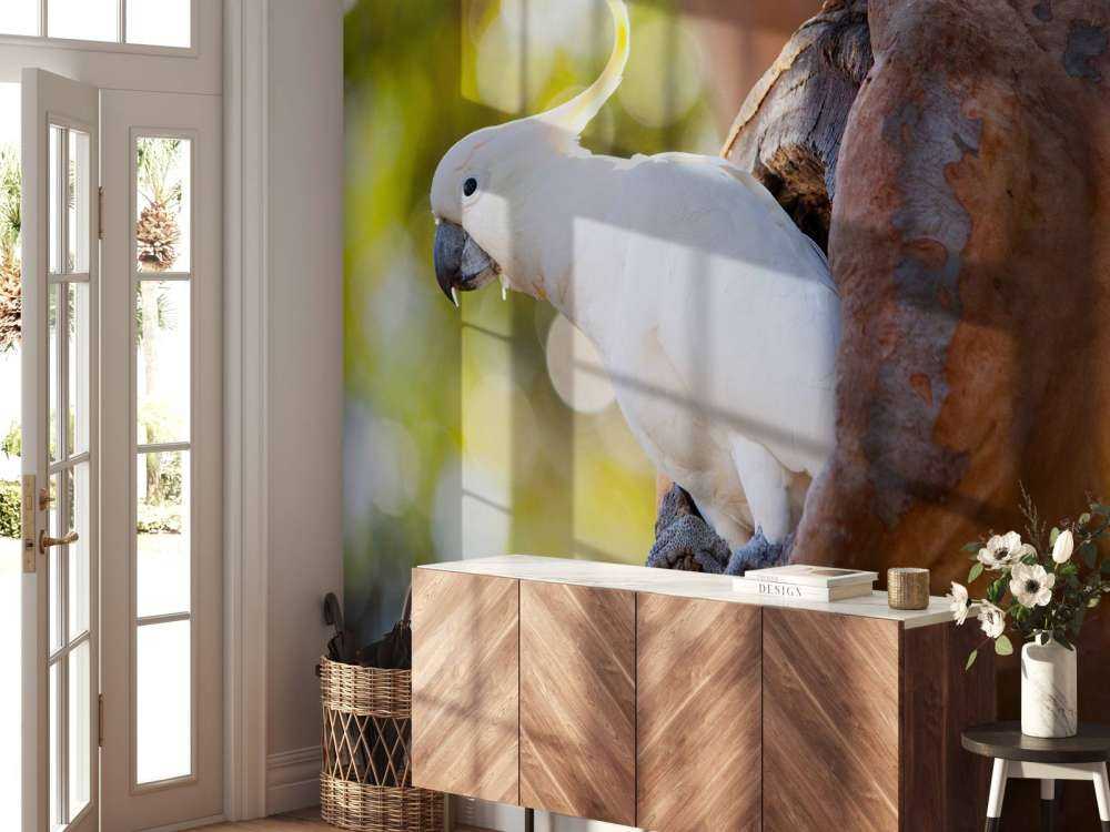 Kakadu w dziupli drzewa