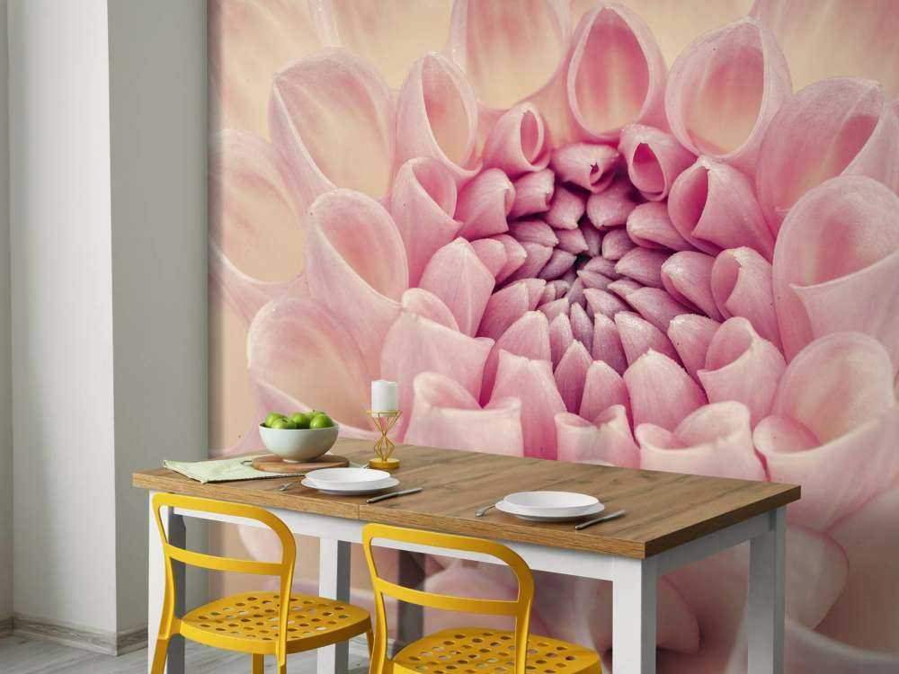 Zdjęcie z bliska dalii