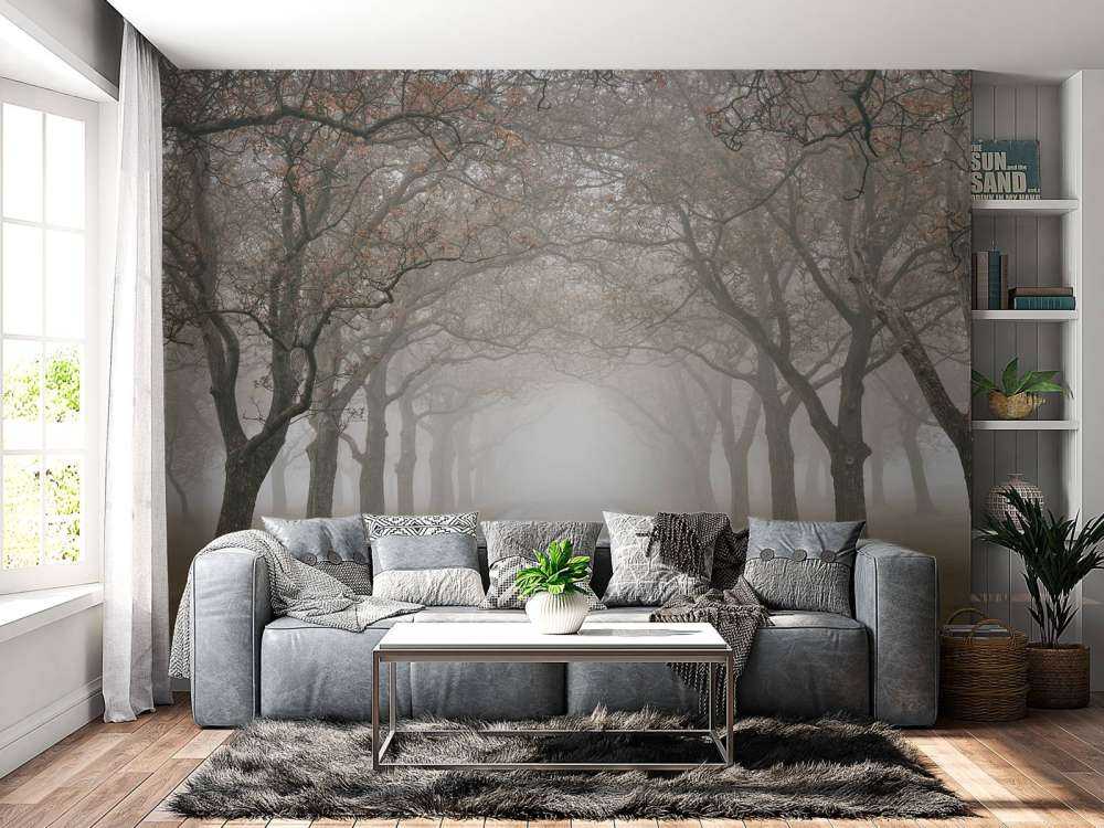 Droga ze starymi drzewami