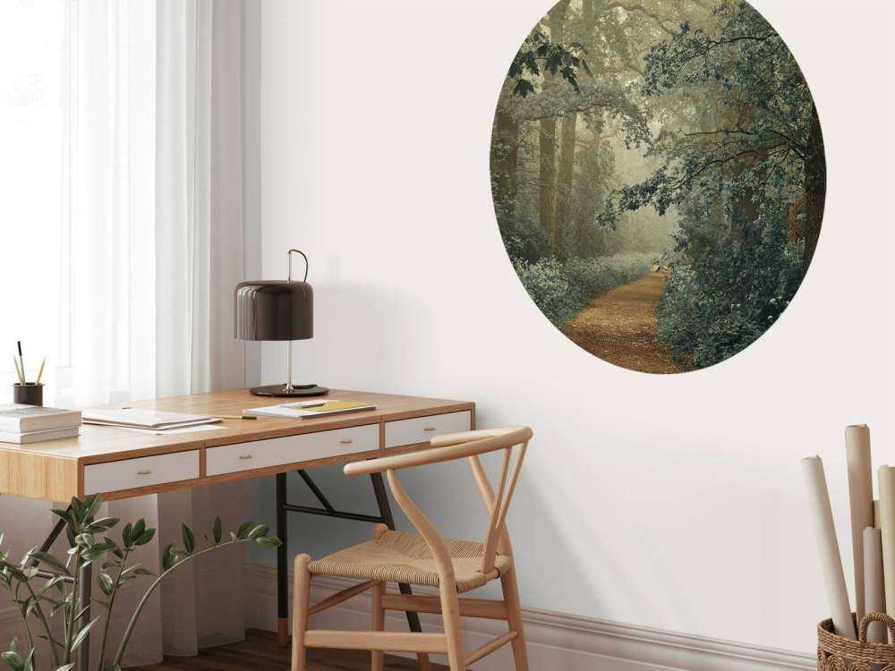 Ścieżka przez las z mgłą