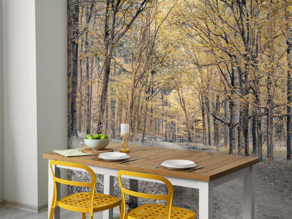 Leśna droga w okresie jesiennym