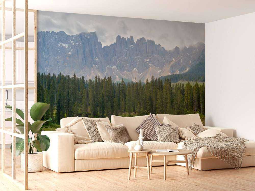 Rząd drzew w pobliżu górskiego jeziora