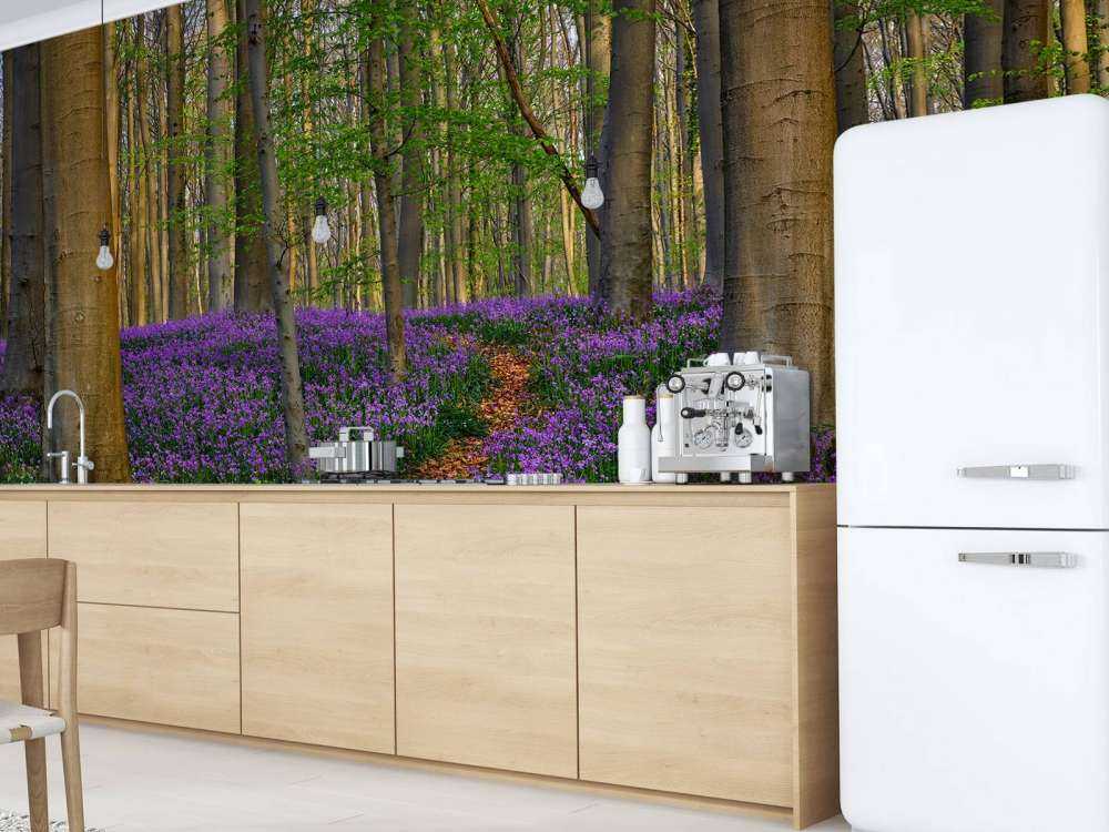 Ładna ścieżka przez las