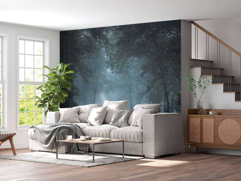 Zamglona ścieżka leśna