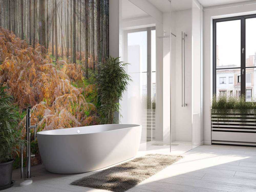 Las podczas wschodu słońca