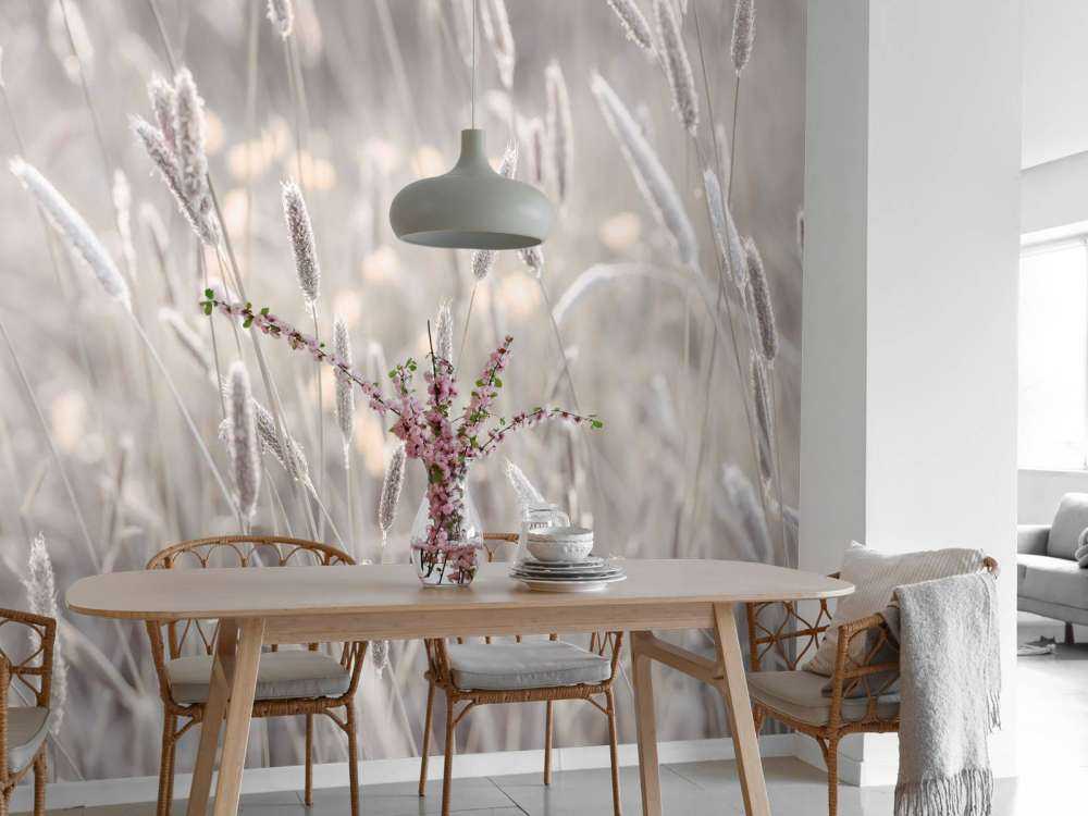 Zbliżenie na łąkę