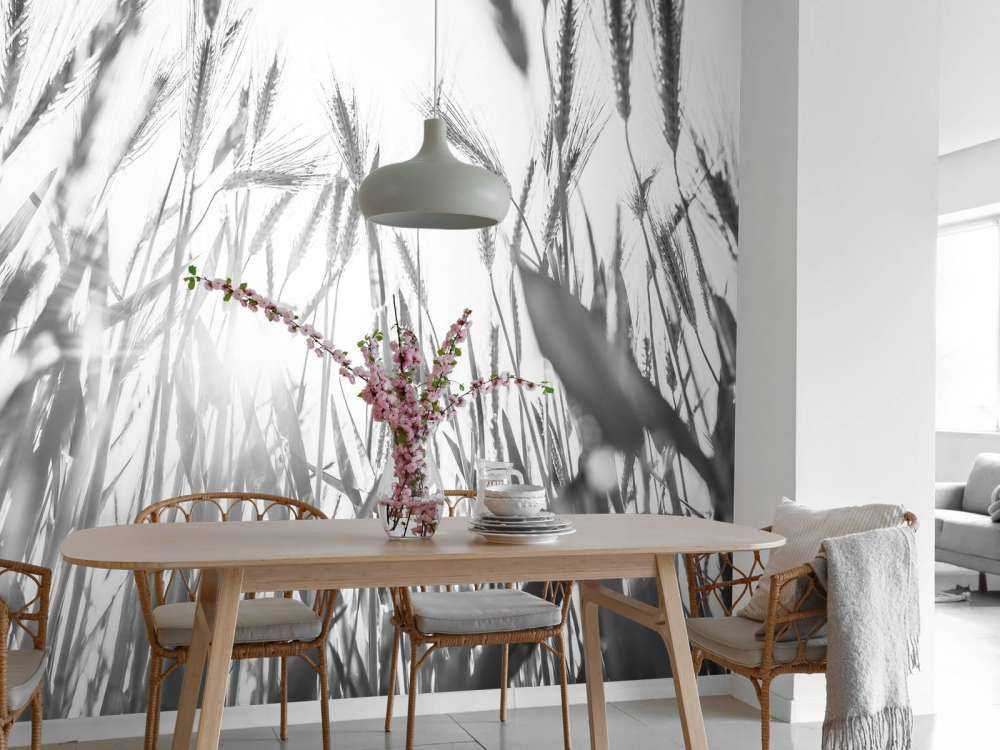 Słoneczne pole pszenicy