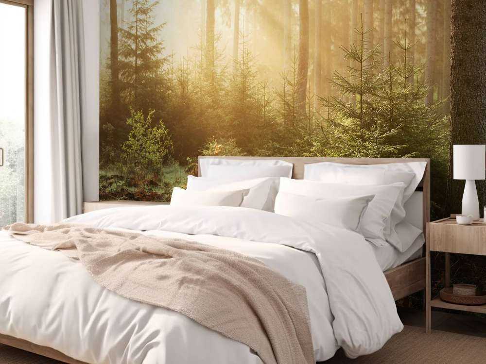 Promienie słońca przez las