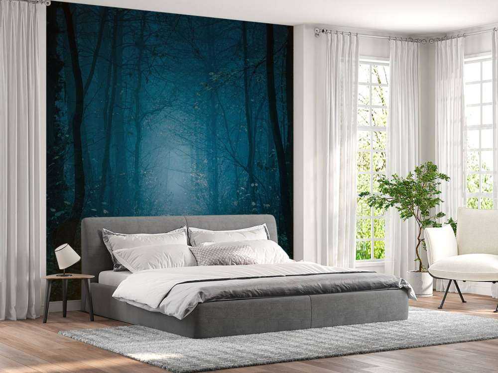 Niebieska ścieżka leśna