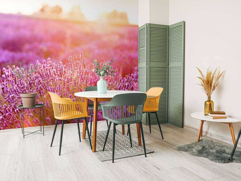 Zbliżenie na kwiaty lawendy