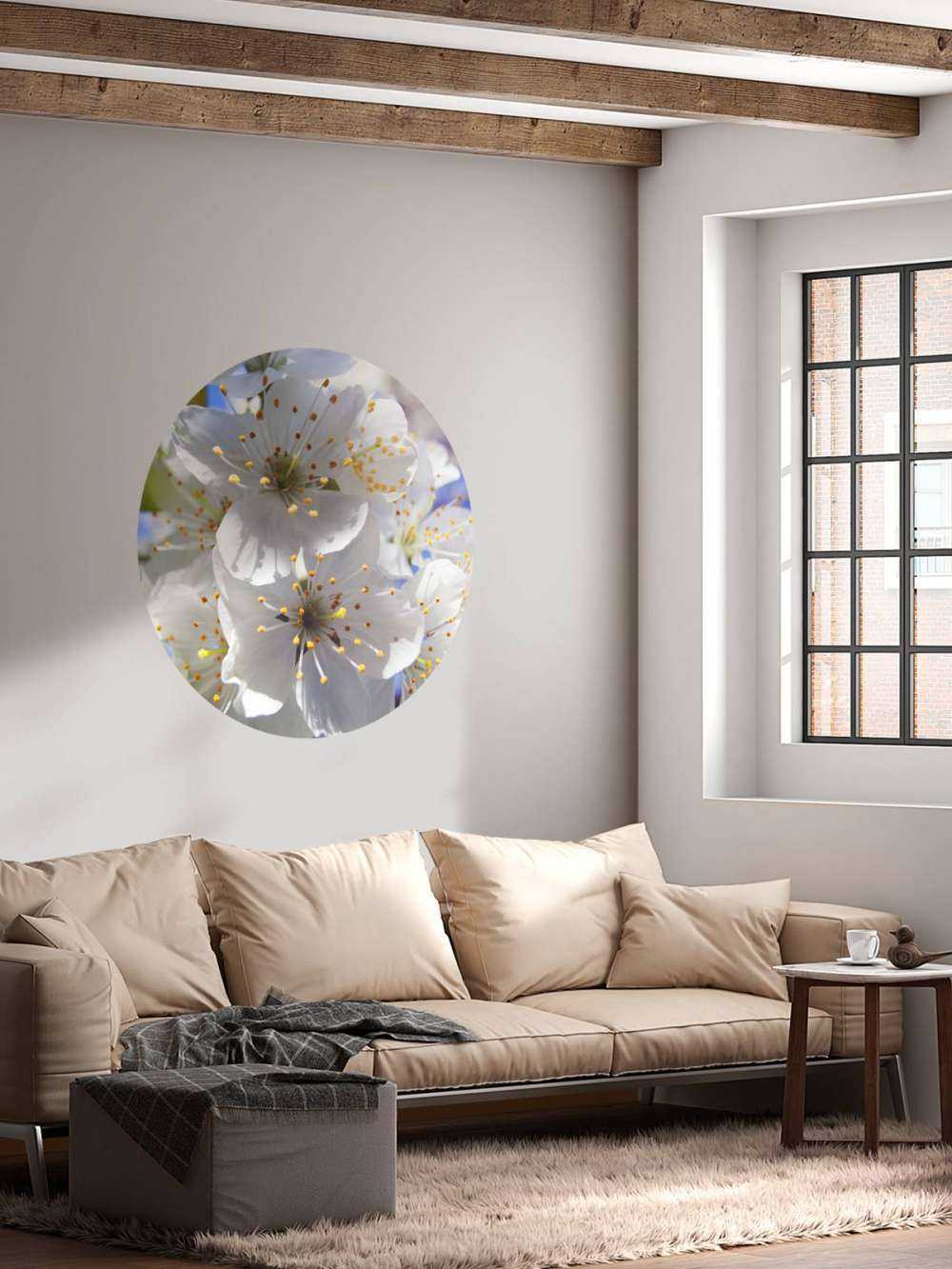 Zbliżenie na białe kwiaty