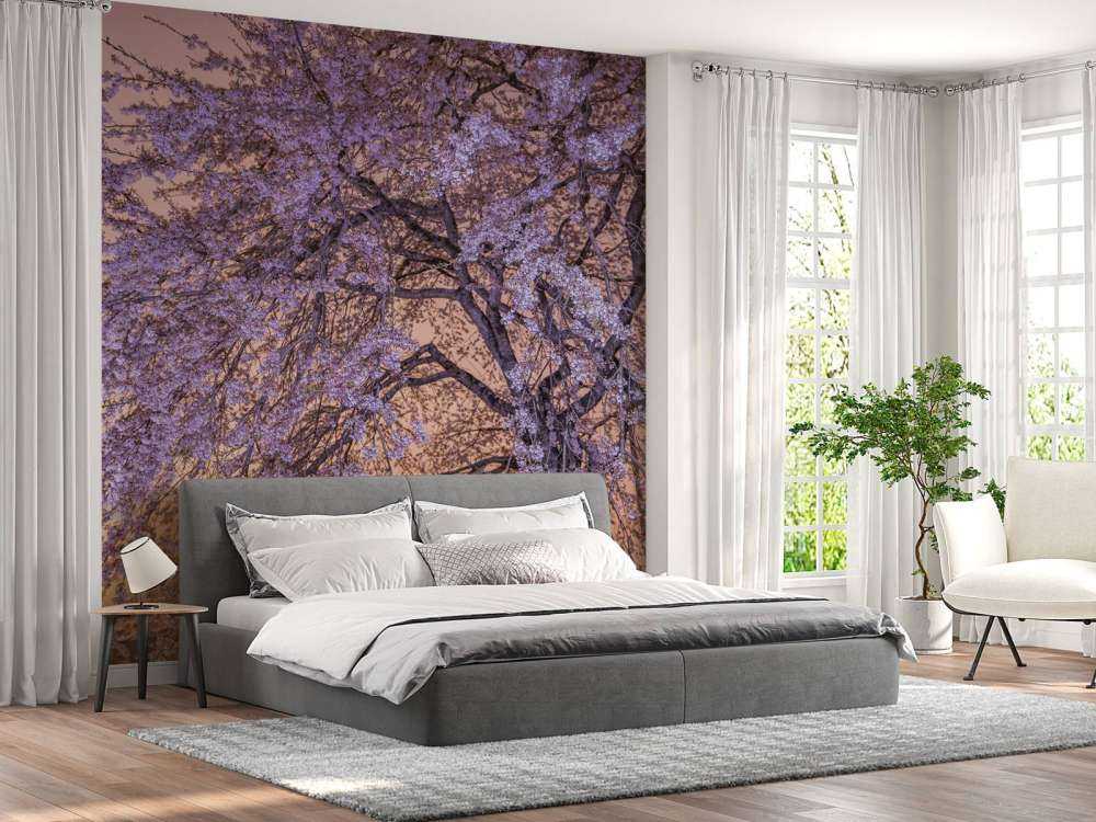 Kwiaty o zachodzie słońca