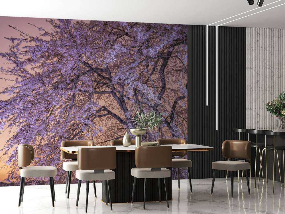 Kwiaty o zachodzie słońca