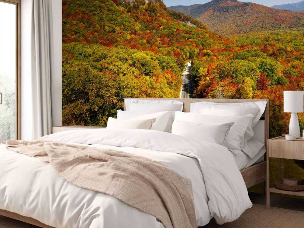 Droga przez jesienny krajobraz