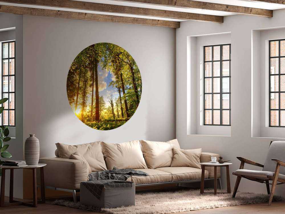 Zachód słońca wśród drzew