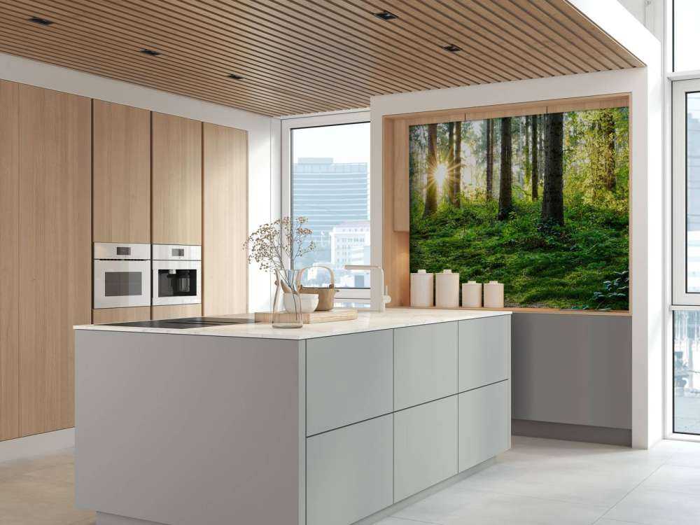 Leśna panorama na wiosnę