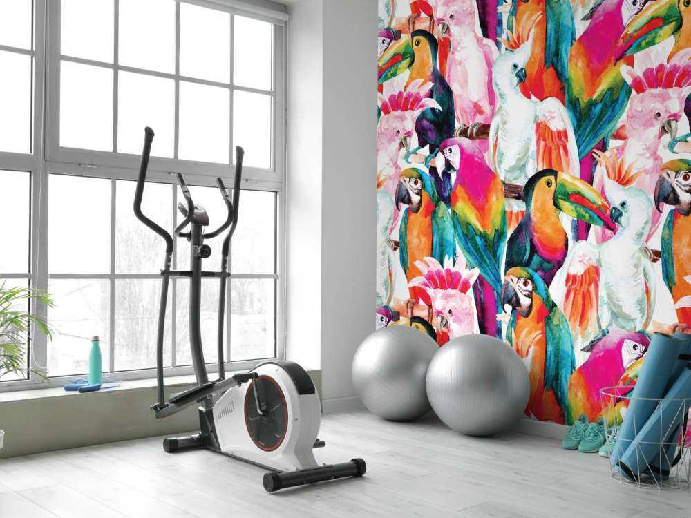 Tropikalne kolorowe ptaki