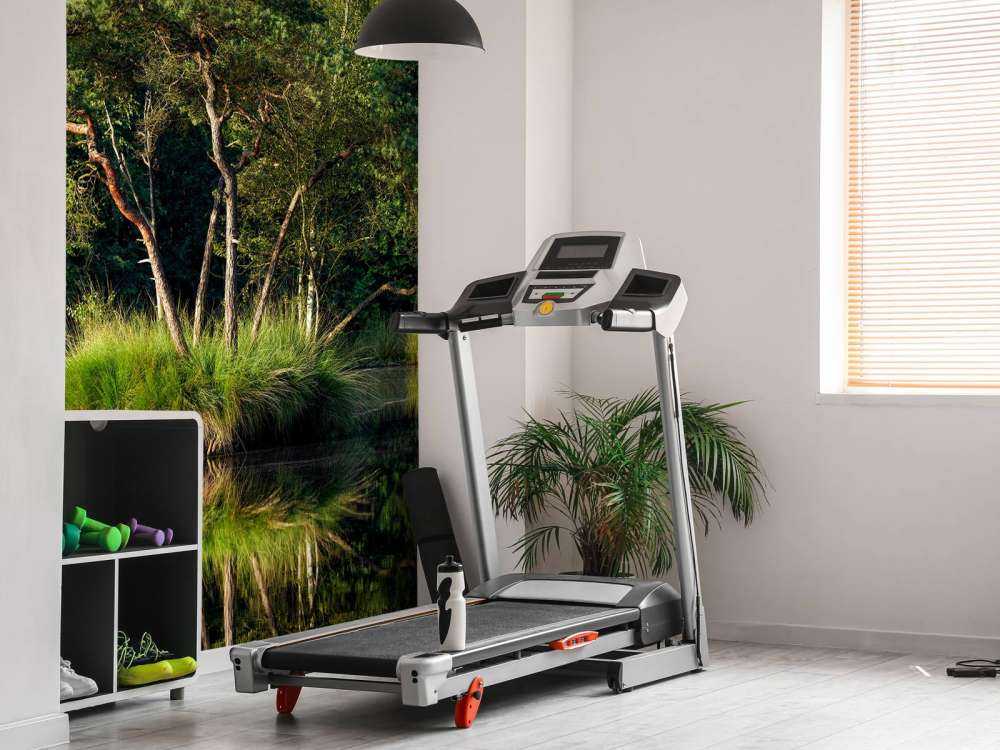 Wyspa w jeziorze leśnym