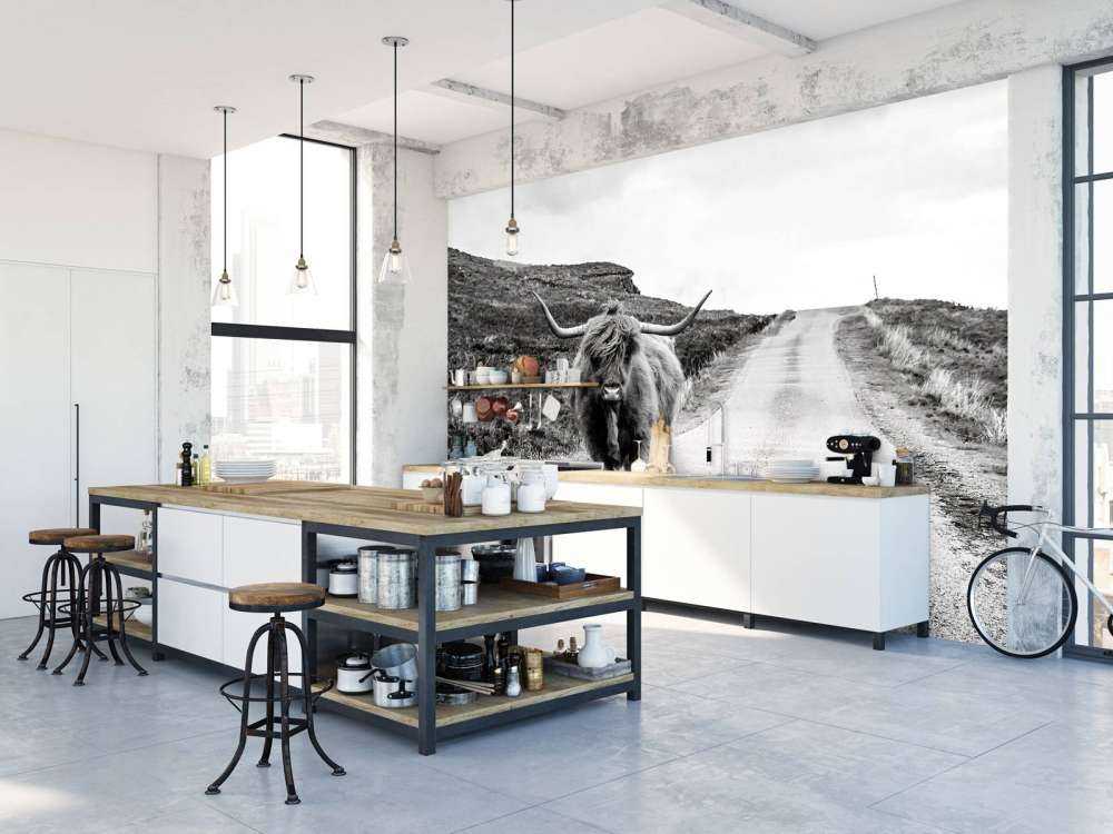 Szkocka rasa wyżynna na drodze