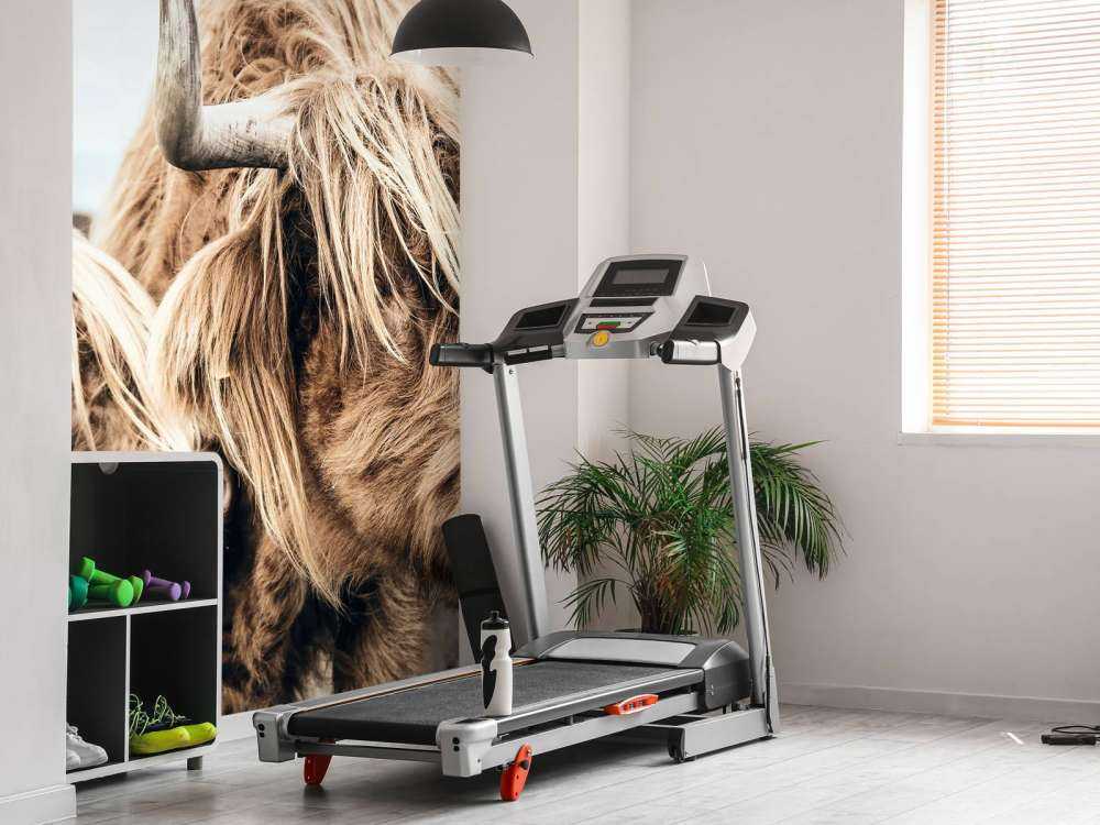 Dwa szkockie wyżynny