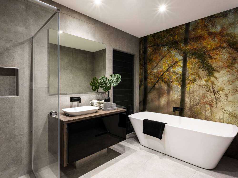 The lights of the forest