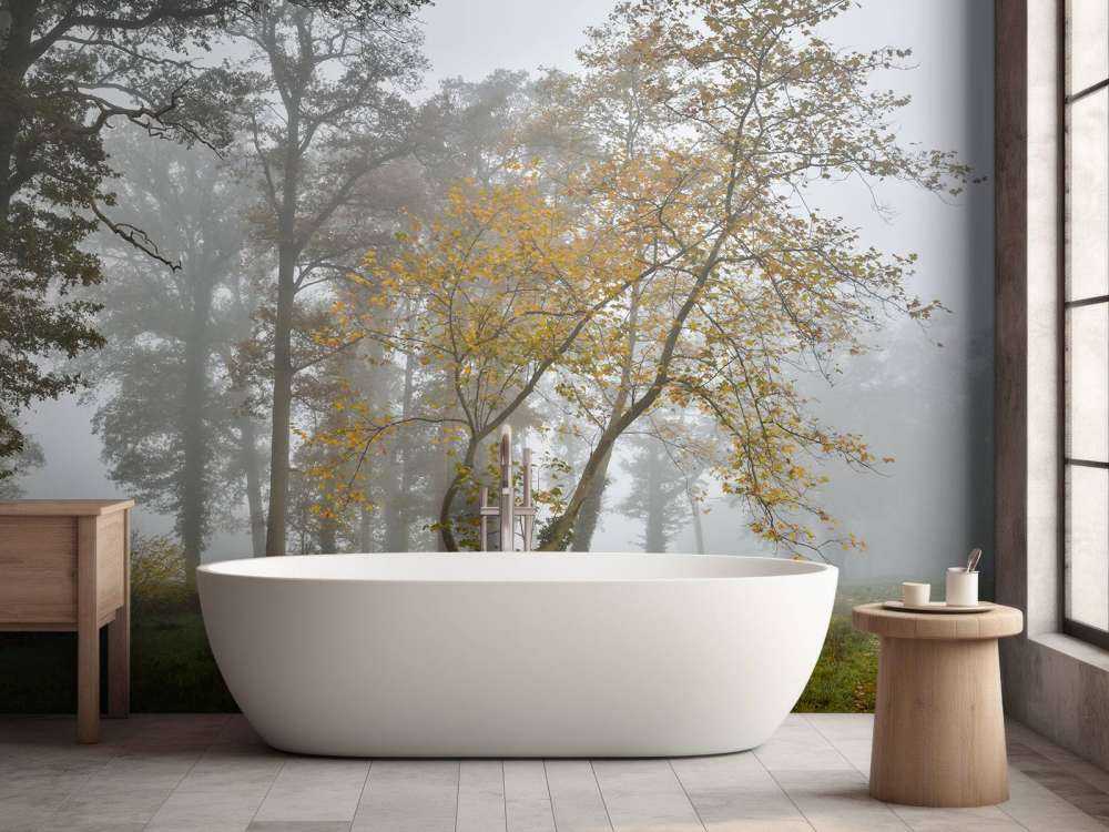 Pole trawiaste z drzewami i mgłą