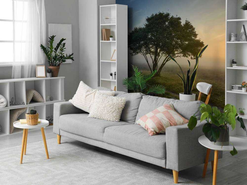 Wschód słońca na wrzosowisku