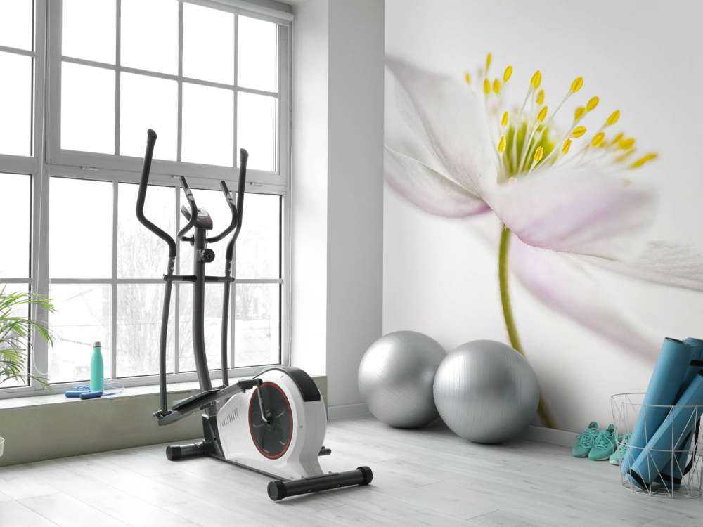 Beautiful Nemorosa**