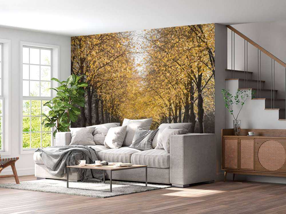 Ścieżka wśród drzew