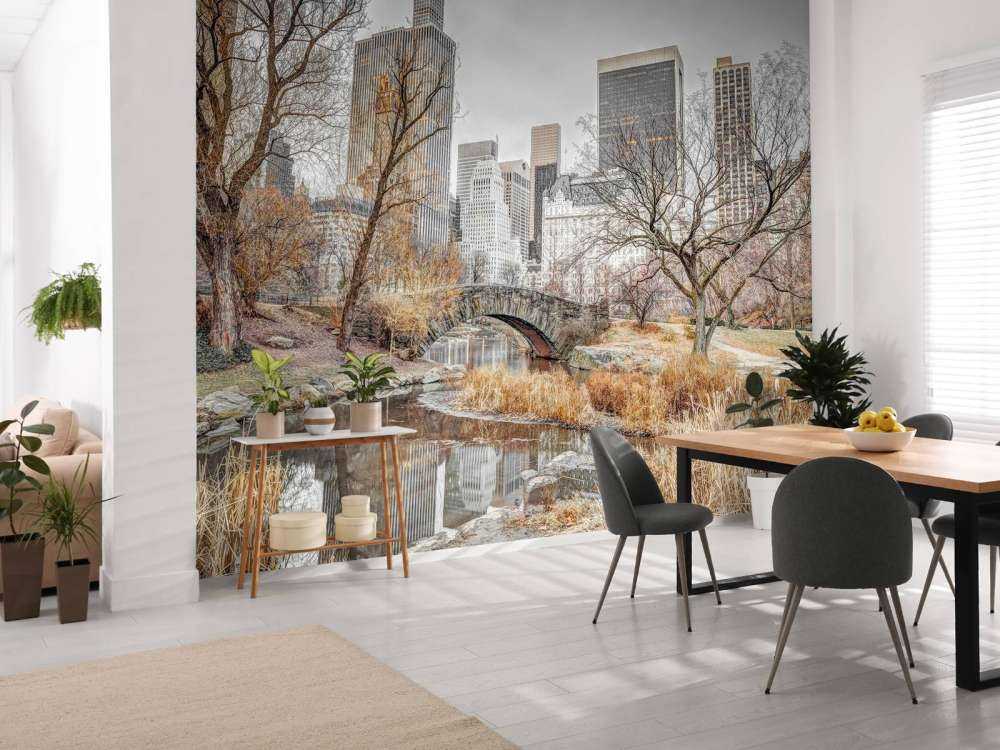 Park Centralny w zimie