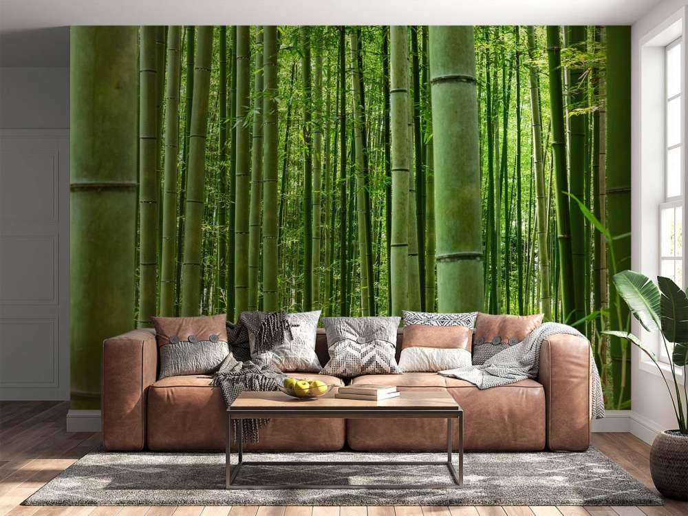 W środku lasu bambusowego