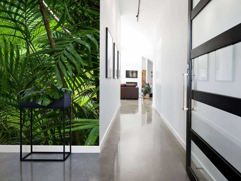 Tropikalne lasy deszczowe