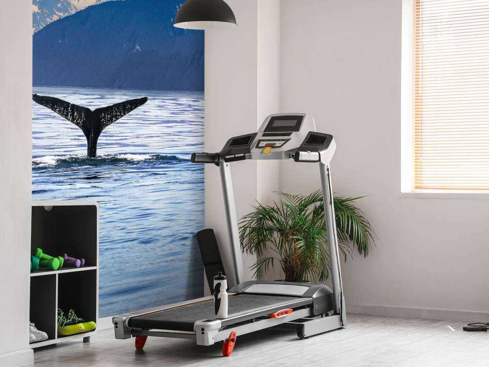 Nurkowanie wieloryba z górami w tle