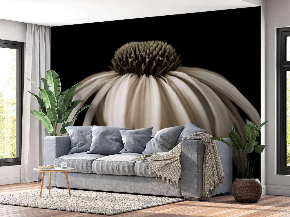 Zbliżenie na kwiat stożka