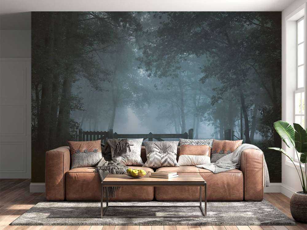 Zamglona ścieżka leśna