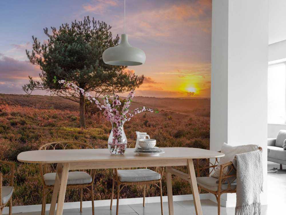 Zachód słońca w opuszczonej okolicy