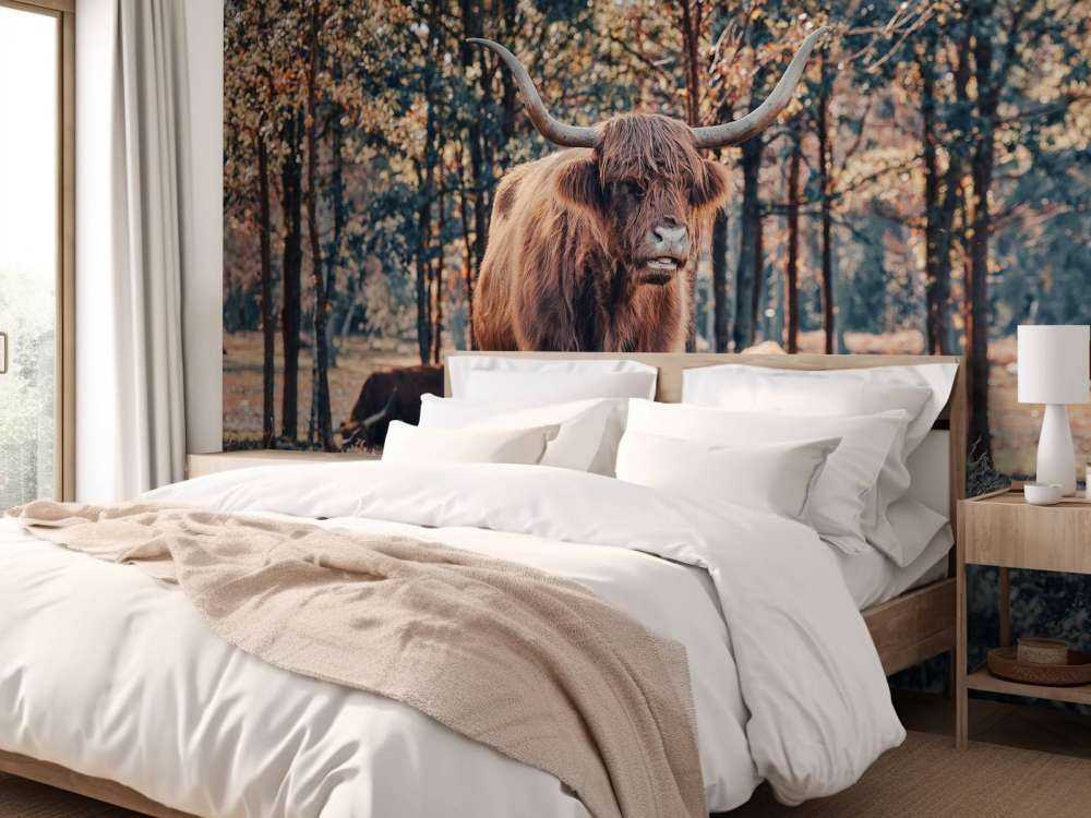 Szkocki góral na skraju lasu