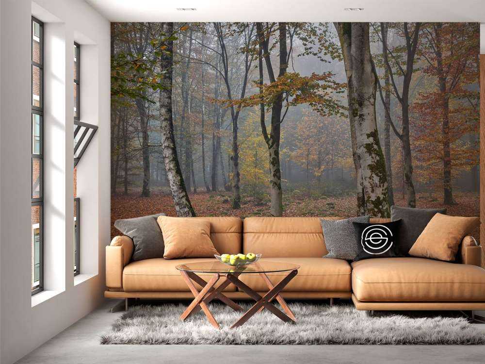 Jesienny las brzozowy