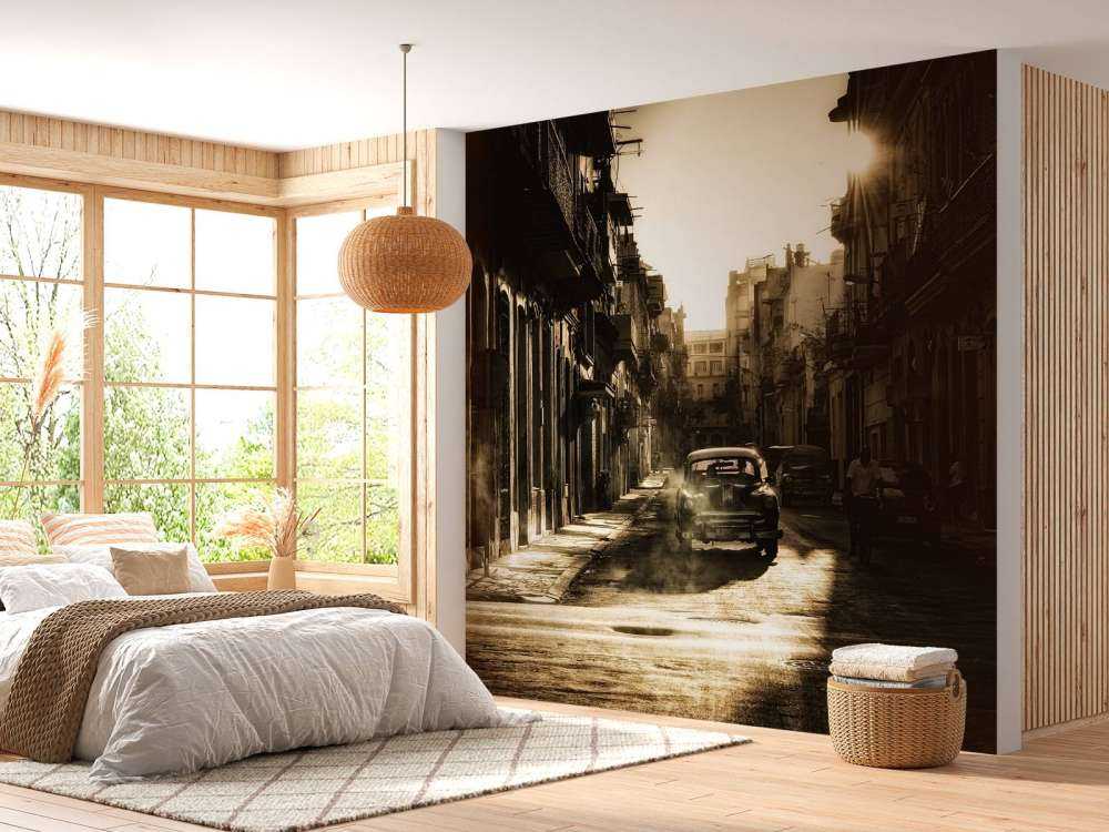 Mystic morning in Havana