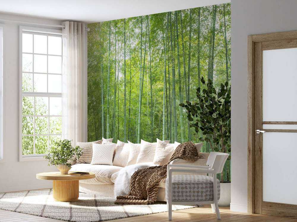 Zielony las bambusowy