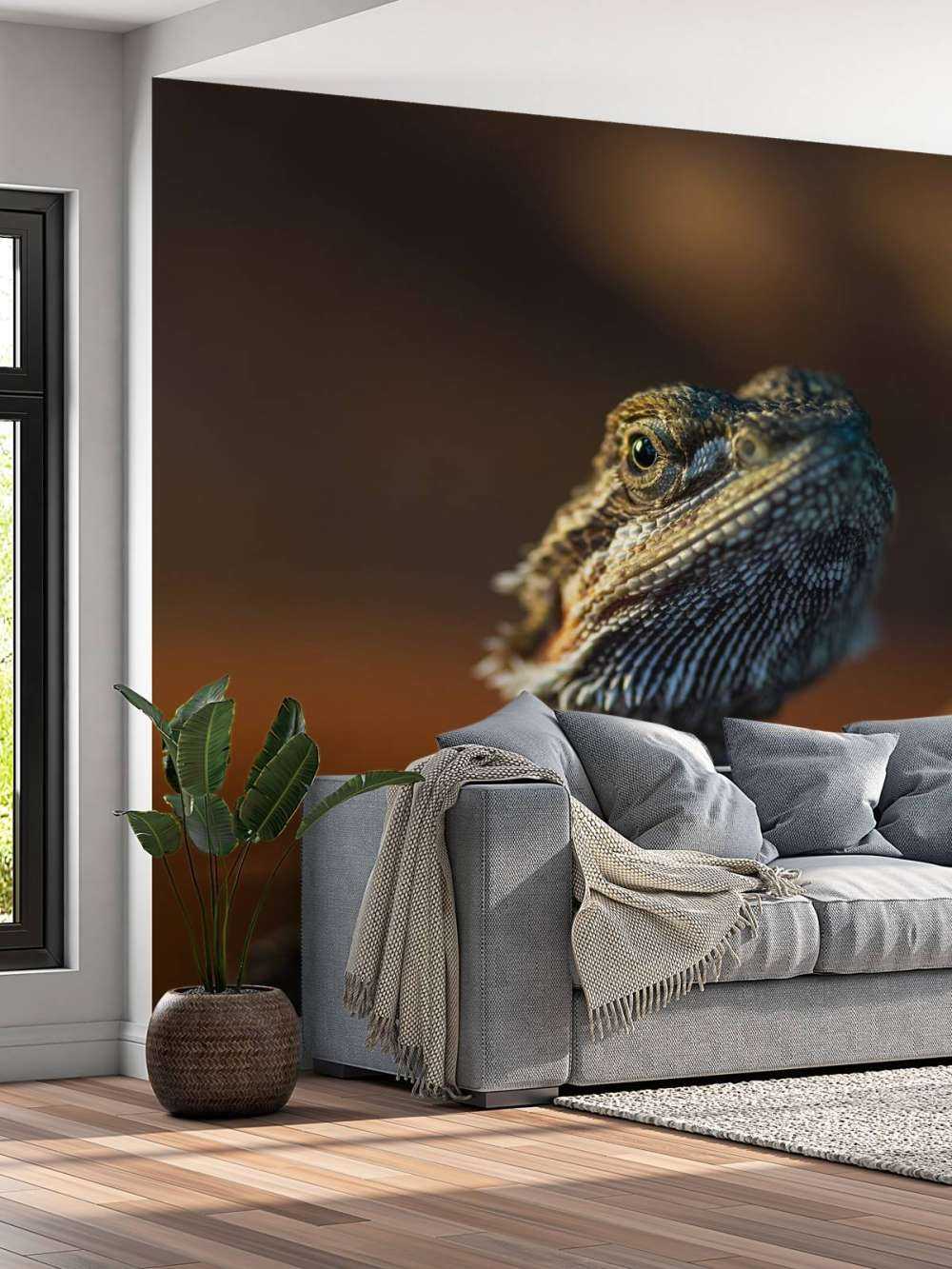 Kameleon w zbliżeniu