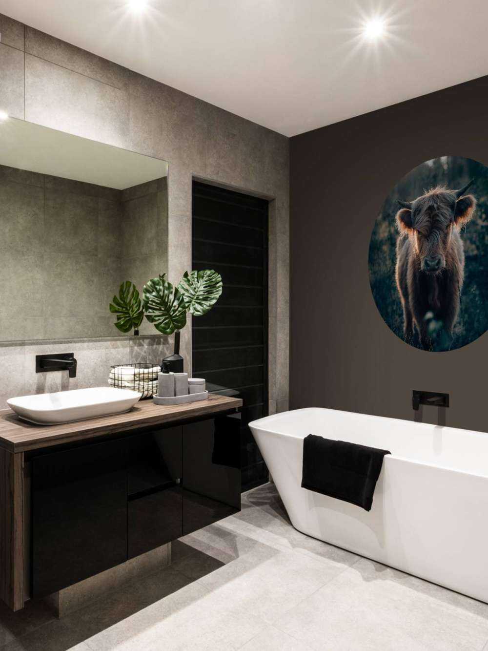 Młody szkocki wyżyn 