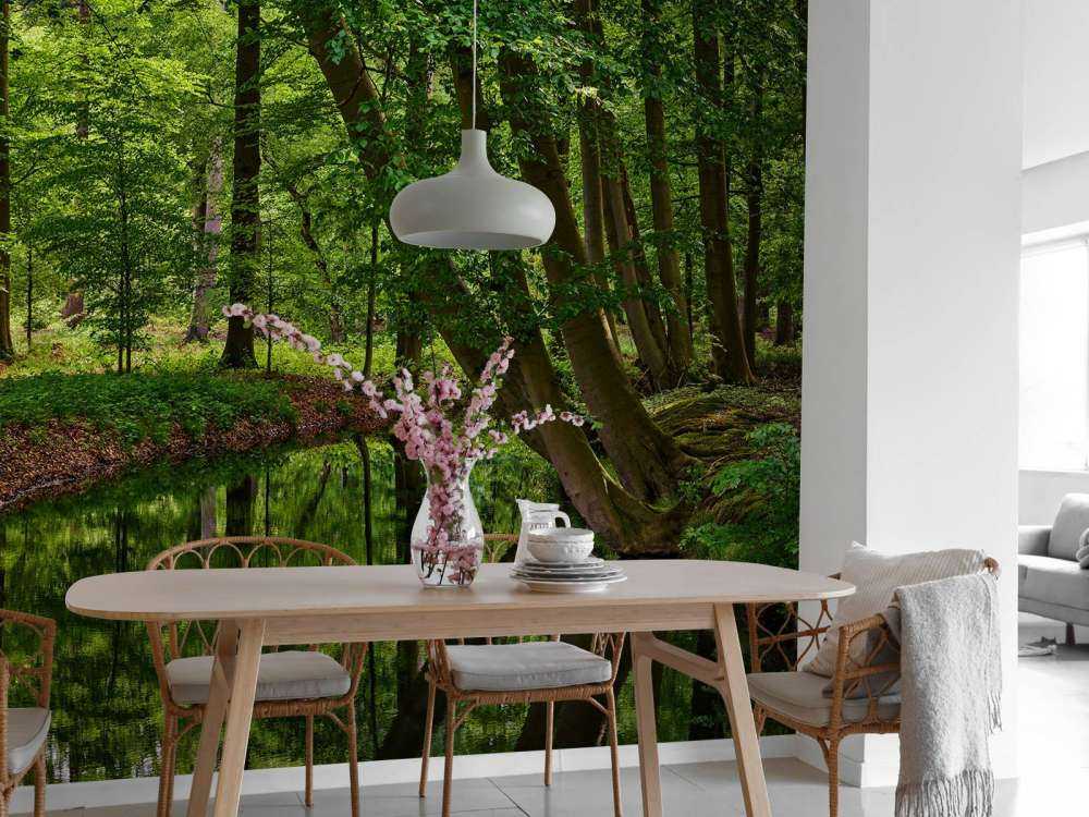 Wygięte drzewa w pobliżu wody