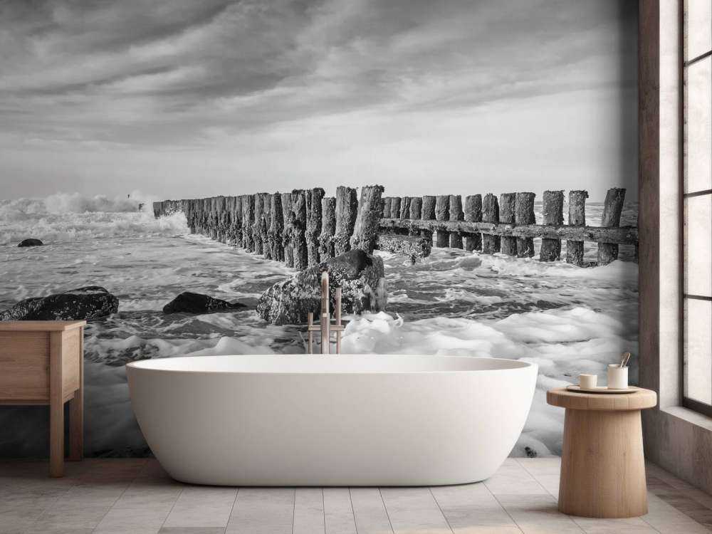 Spienione morze w czerni i bieli