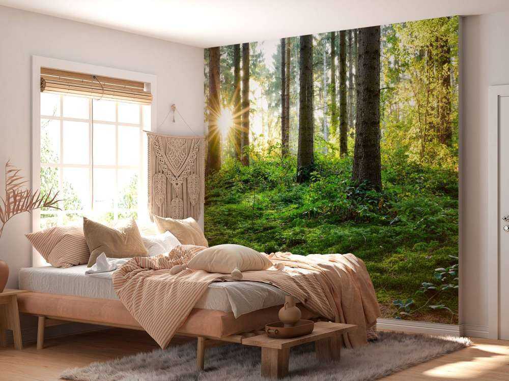 Leśna panorama na wiosnę