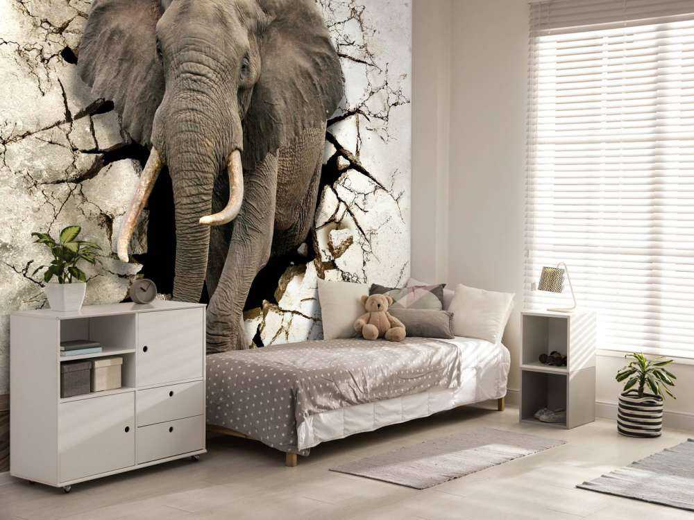 Wielki słoń z muru